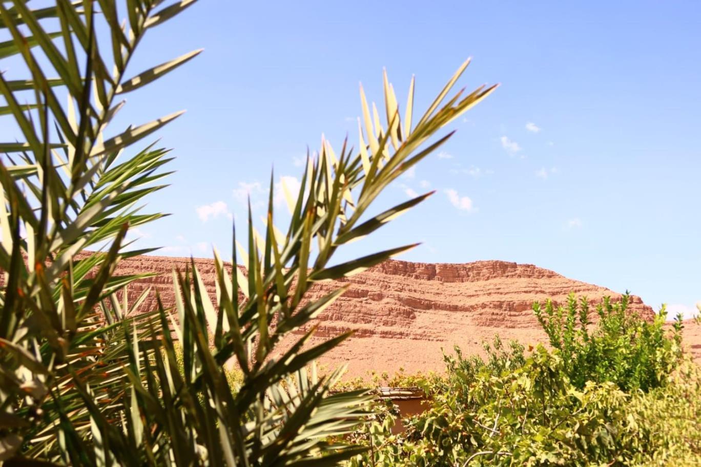 Gite D'Etape Ziz Oasis Achbarou Exterior foto