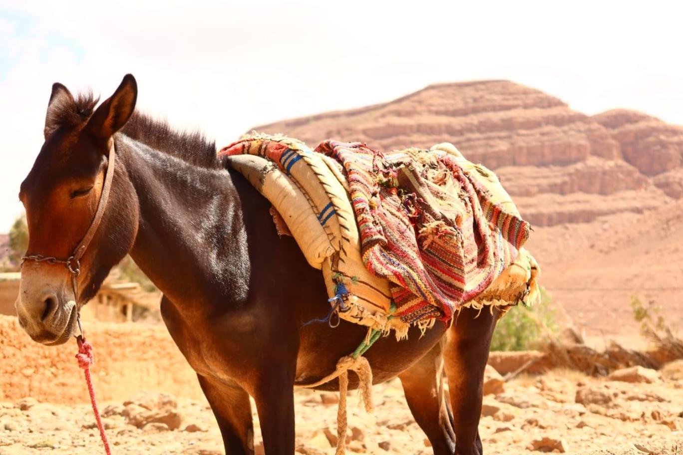 Gite D'Etape Ziz Oasis Achbarou Exterior foto