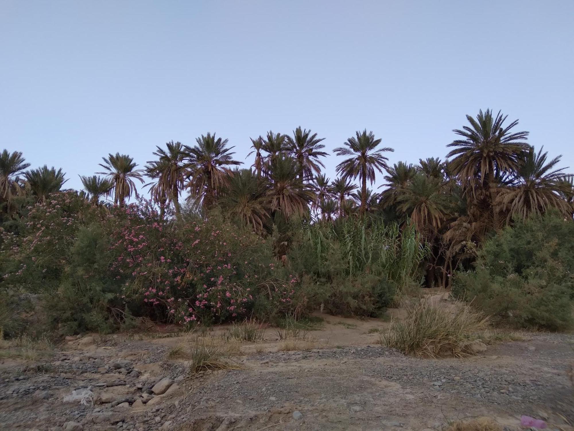 Gite D'Etape Ziz Oasis Achbarou Exterior foto