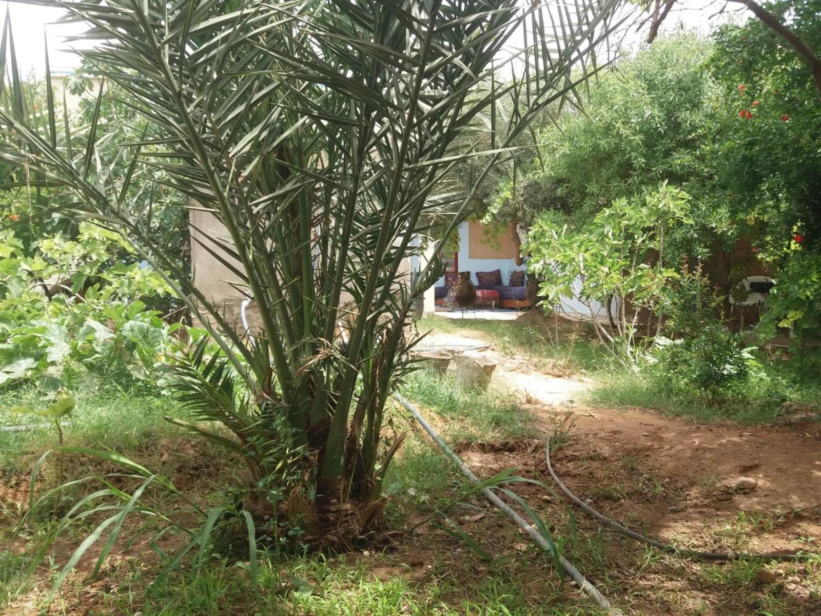 Gite D'Etape Ziz Oasis Achbarou Exterior foto